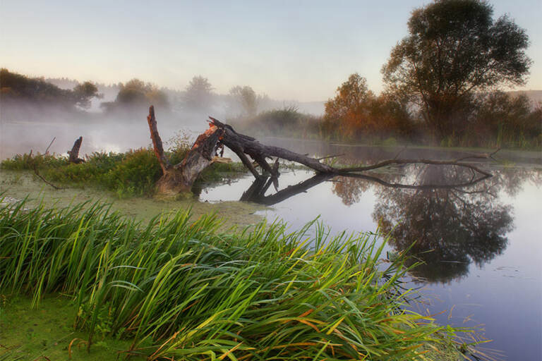 Видобуток торфу на території пам’ятки природи: що відбувається із Маковим болотом