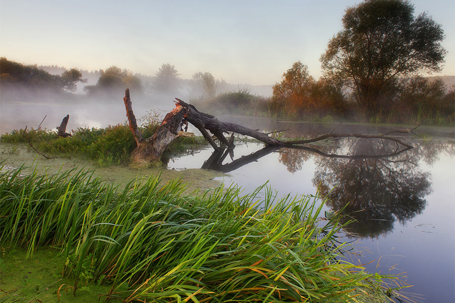 Видобуток торфу на території пам’ятки природи: що відбувається із Маковим болотом