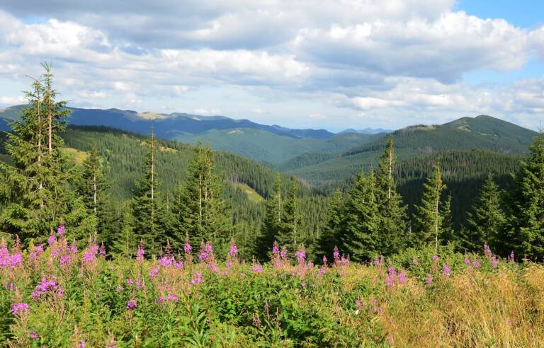 Збережемо природу Землі разом