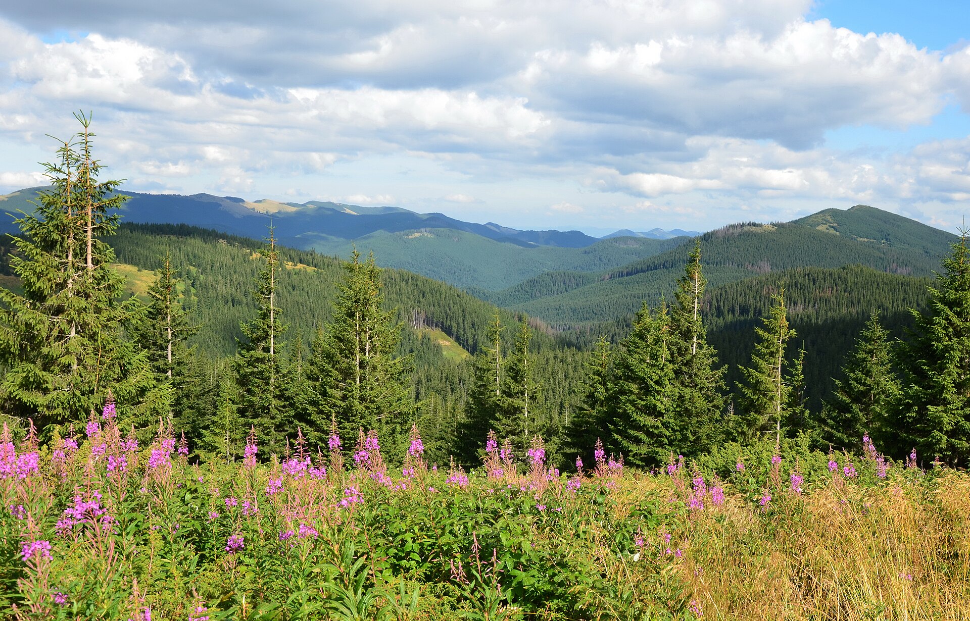 Збережемо природу Землі разом